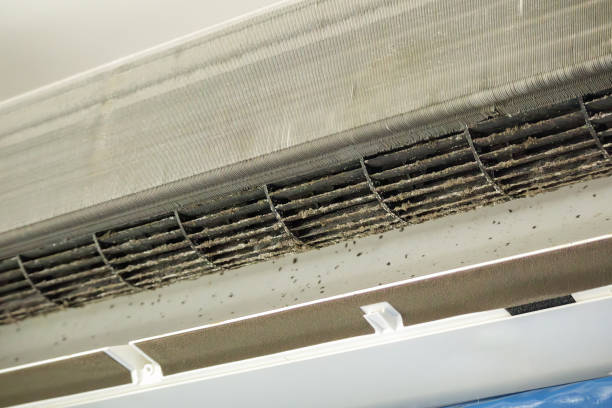 Best Air Filter Replacement Services in Waukesha, WI